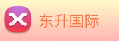 东升国际 logo